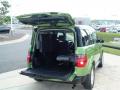 2008 Element EX #17