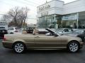 2006 3 Series 325i Convertible #1