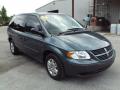 2006 Caravan SE #10