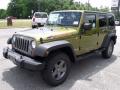 2010 Wrangler Unlimited Mountain Edition 4x4 #4