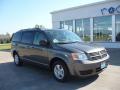 2010 Grand Caravan SE Hero #23