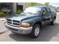 2002 Dakota SLT Quad Cab #12