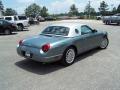 2004 Thunderbird Pacific Coast Roadster #5