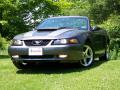 2003 Mustang GT Convertible #1 2003 Mustang GT Convertible #1