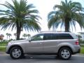 2007 Mercedes-Benz GL 450 Pewter Metallic