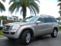 2007 GL 450 #2 2007 GL 450 #2