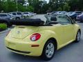 2007 New Beetle 2.5 Convertible #6