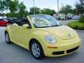 2007 New Beetle 2.5 Convertible #8