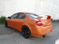 2005 Neon SRT-4 #10