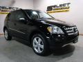 2009 ML 350 4Matic #3