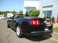 2010 Mustang V6 Convertible #8