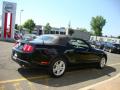 2010 Mustang V6 Convertible #25
