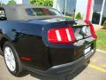 2010 Mustang V6 Convertible #32