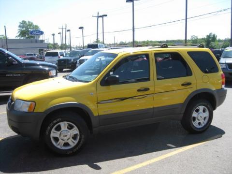 Ford Escape Xlt 2002. Chrome Yellow 2002 Ford Escape