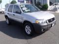 2007 Ford Escape XLT V6 4WD Silver Metallic