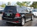 2010 GL 350 BlueTEC 4Matic #17