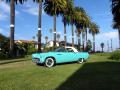 1955 Thunderbird Convertible #4