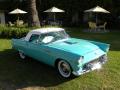 1955 Thunderbird Convertible #9