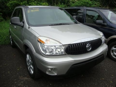 Platinum Metallic Buick Rendezvous CX.  Click to enlarge.