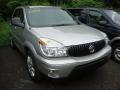 2006 Buick Rendezvous CX Platinum Metallic