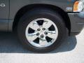 2004 Ram 1500 SLT Regular Cab #15