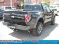 2010 F150 SVT Raptor SuperCab 4x4 #2