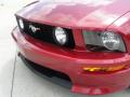 2007 Mustang GT/CS California Special Convertible #11
