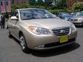 2010 Elantra GLS #3