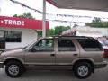 1996 Chevrolet Blazer LS 4x4 Medium Beige Mystique Metallic