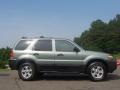 2007 Ford Escape XLT V6 4WD Titanium Green Metallic