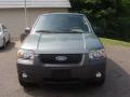 2007 Escape XLT V6 4WD #2 2007 Escape XLT V6 4WD #2