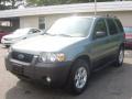 2007 Escape XLT V6 4WD #6 2007 Escape XLT V6 4WD #6
