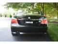 2007 5 Series 525i Sedan #8