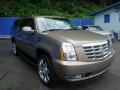 2007 Escalade ESV AWD #6