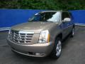 2007 Escalade ESV AWD #8