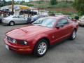 2009 Mustang V6 Coupe #10