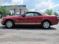 2009 Mustang V6 Convertible #9