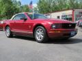 2009 Mustang V6 Convertible #13