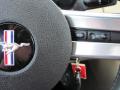 2009 Mustang V6 Convertible #18
