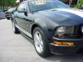 2008 Mustang GT Deluxe Coupe #2