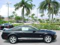 2008 Mustang GT Deluxe Coupe #5