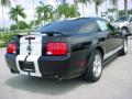 2008 Mustang GT Deluxe Coupe #6