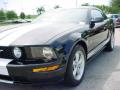 2008 Mustang GT Deluxe Coupe #12