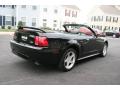 2000 Mustang GT Convertible #6