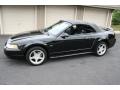 2000 Mustang GT Convertible #18