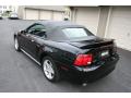 2000 Mustang GT Convertible #19