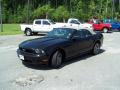 2010 Ford Mustang V6 Premium Convertible Black
