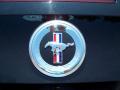 2010 Mustang V6 Premium Convertible #14