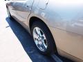 2008 Charger R/T #4 2008 Charger R/T #4