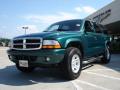 2003 Durango SLT 4x4 #7